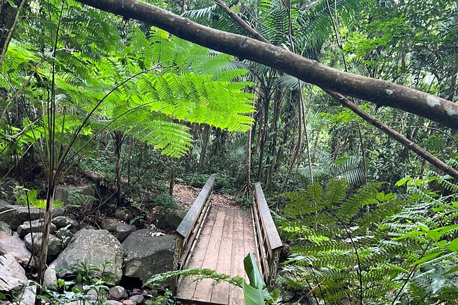 Tour El Yunque Rainforest - Viator Help Center