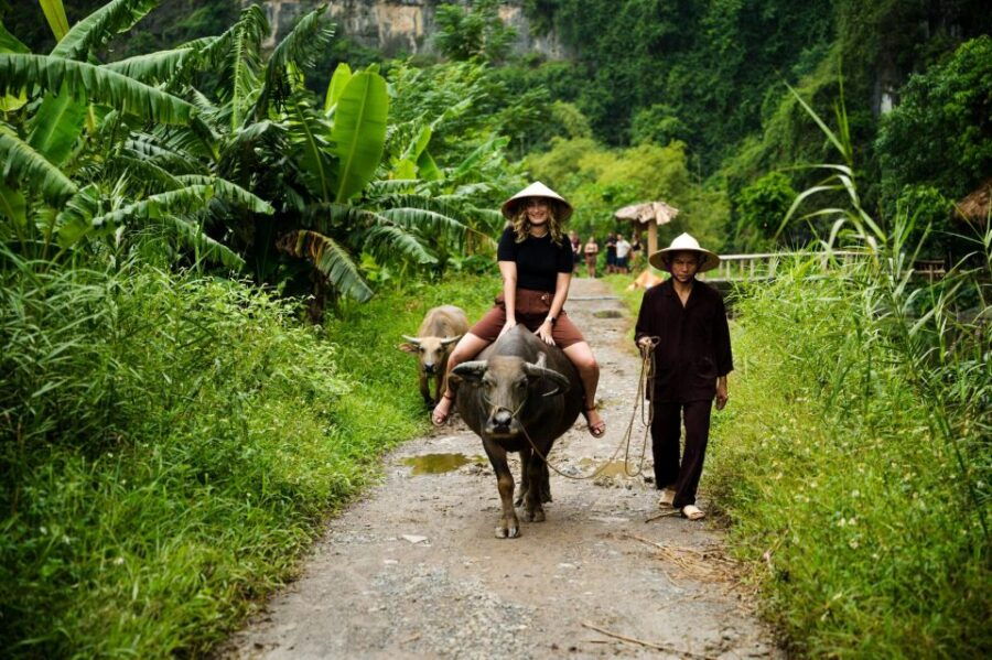 Tour Experience Riding Buffalo,Fishing, Boating and Mua Cave - Good To Know