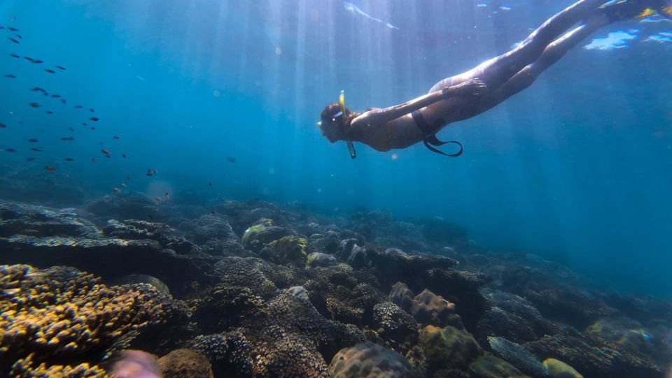 Tour Freediving Phu Quoc: Fascinating Free-Diving Moments