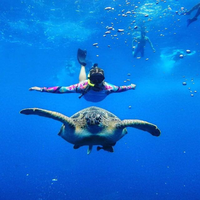 Tour Gili Islands : Private Snorkeling Trip 4 Hours