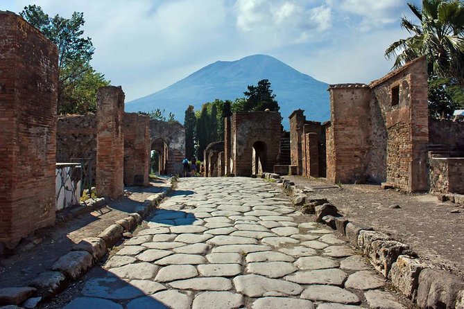 Tour Herculaneum Archaeological Park and Mount Vesuvius - Tour Highlights