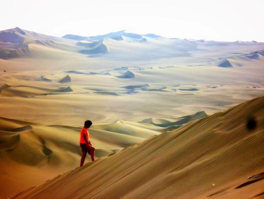 Tour to Ica, Paracas and Ballestas Islands From Lima for 1 Day - Good To Know