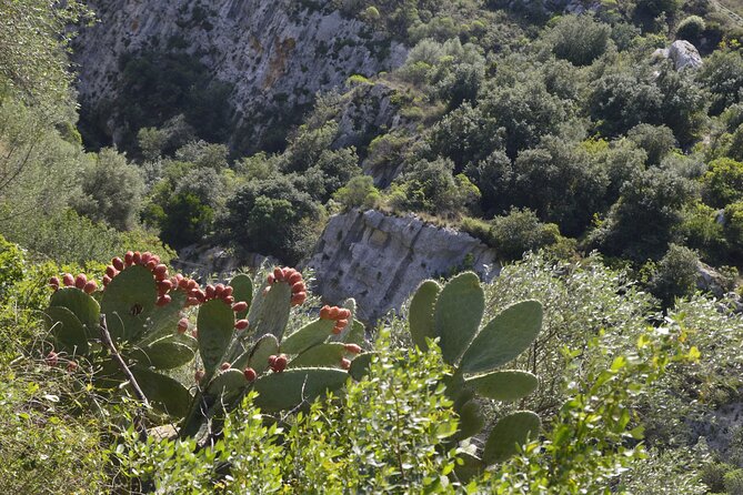 Tour to Pantalica, Olive Oil Tasting, Lunch at the Company - Olive Oil Tasting Experience