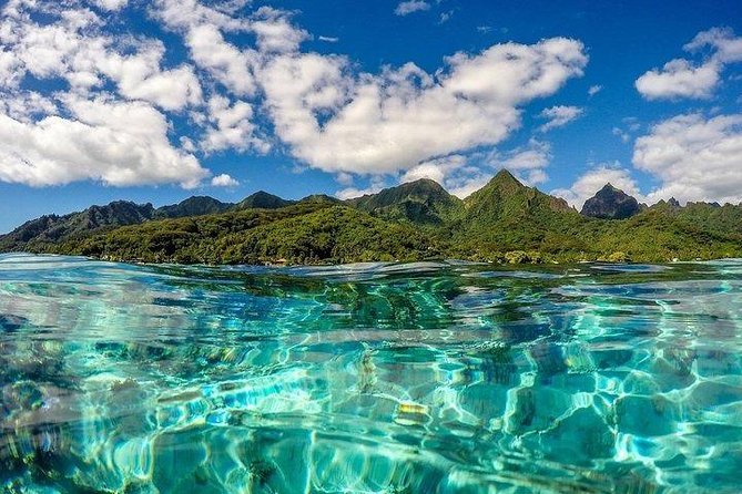 Tour Tour Guide Tahiti - Reviews and Ratings