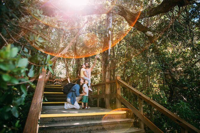 Tour With Navigation to the Arrayanes Forest and Victoria Island