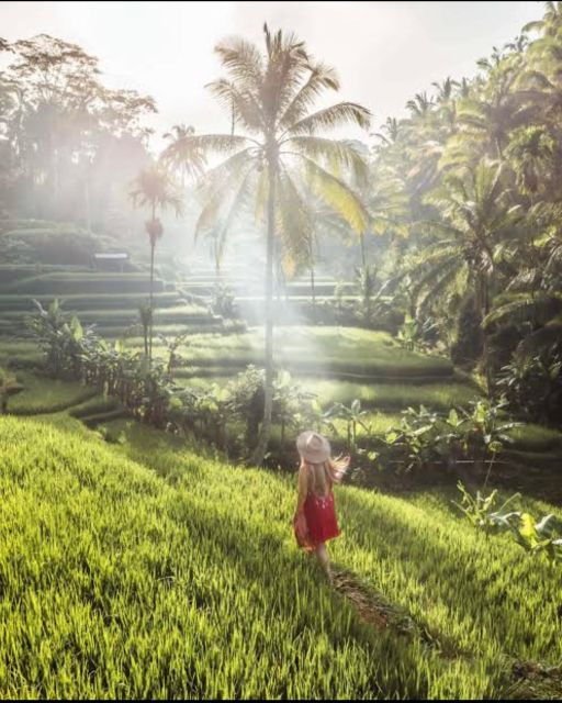 Tourism Ubud Tour With Hidden Waterfalls - Activities