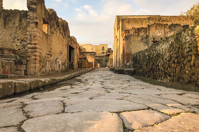 Tramvia Napoli: Transfer Service Discovering Herculaneum Ruins - Good To Know