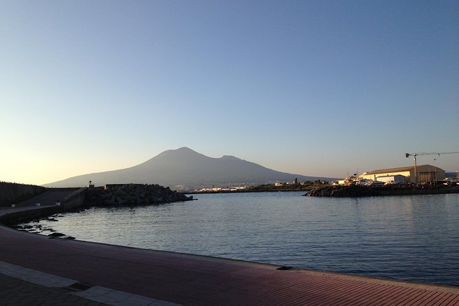 Transfer From Naples to Sorrento With Stop in Herculaneum and Pompeii - Good To Know