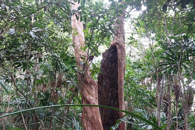 Trek Nui Chua Experience 2D1N, Night in the Jungle - Vinh Hy Bay - Overview of Trek Nui Chua Experience