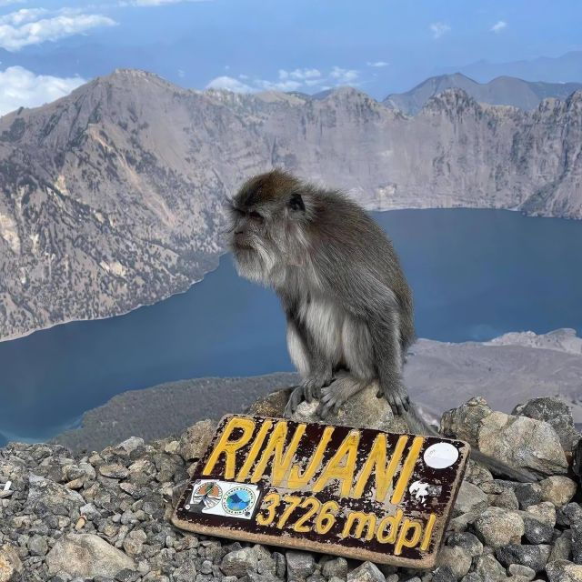 Trekking Mount Rinjani Summit 2 Days 1 Night - Booking and Logistics