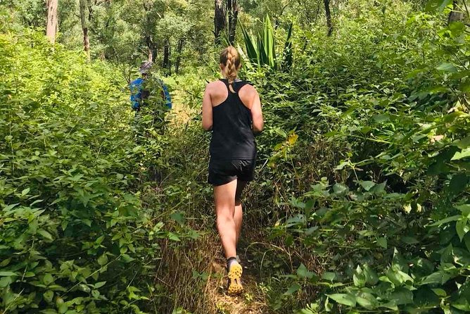 Trekking Tour