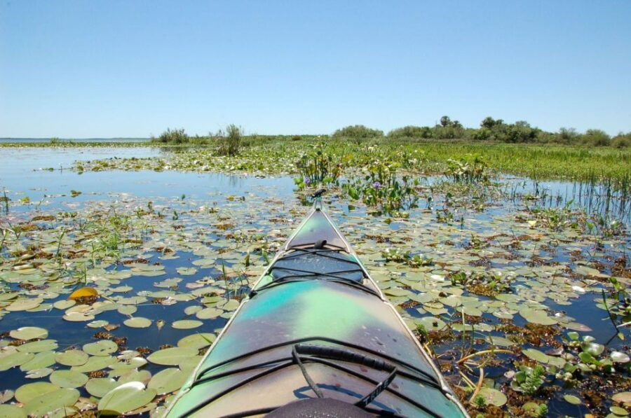 Tru Kayak - Crossing Through the Majestic Uruguay River - Experience Highlights