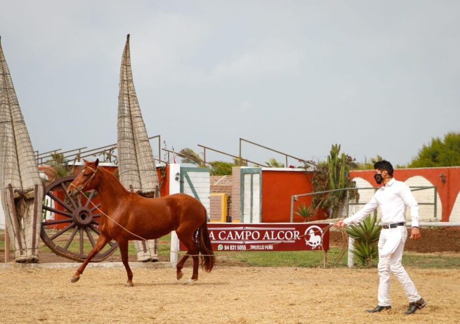 Trujillo: Chan Chan Walking Horses Huanchaco Entrance