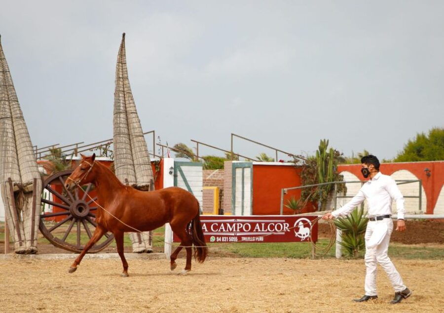 Trujillo: Chan Chan Walking Horses Huanchaco Entrance - Booking Information