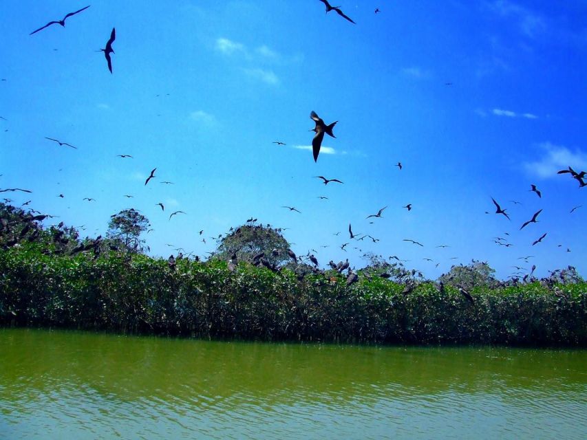 Tumbes: Mangrove National Sanctuary - Tour Duration and Guide Availability