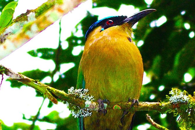 Two Days Botanical Garden, Coffee and Trekking - Coffee Tasting Experience