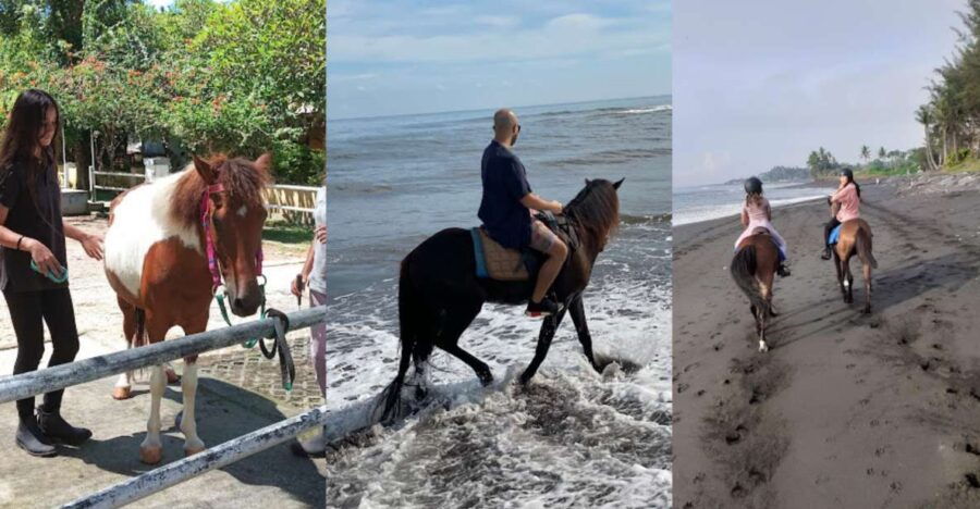 Ubud: 1 Hour Beach Horse Riding With Transfer - Good To Know