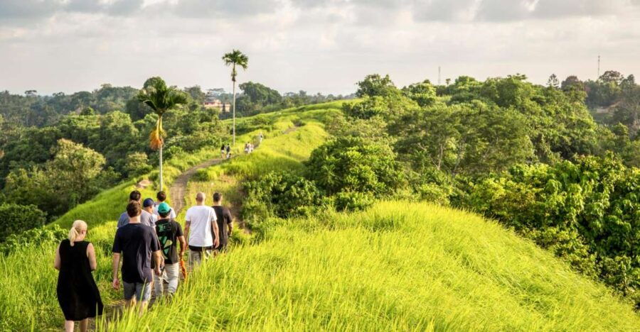 Ubud: 3-Hour Walking Tour With Lunch - Experience Highlights