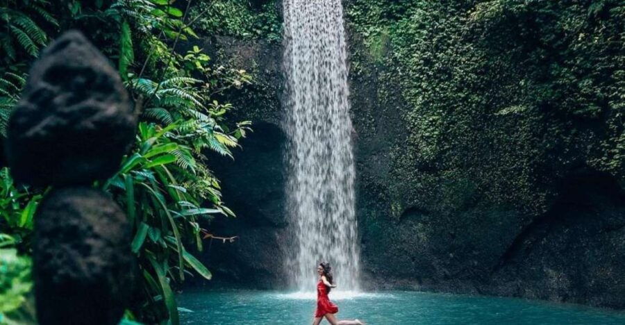 Ubud: Best of Waterfall Tour and Rice Terrace - Highlights