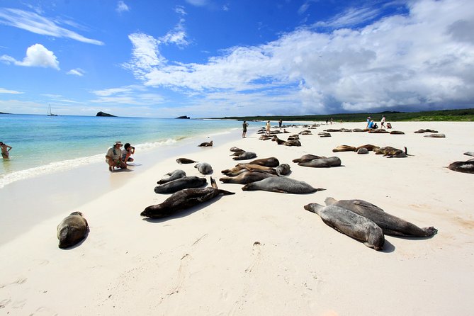 Ultimate Ecuador Journey: Andes, Amazon, Galapagos
