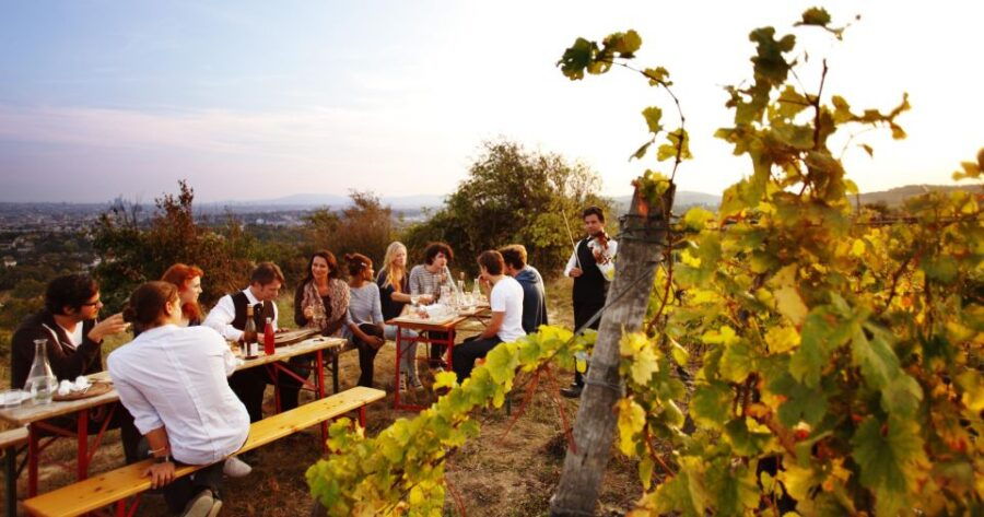 Ultimate Maipú Experience – Wineries & Lunch