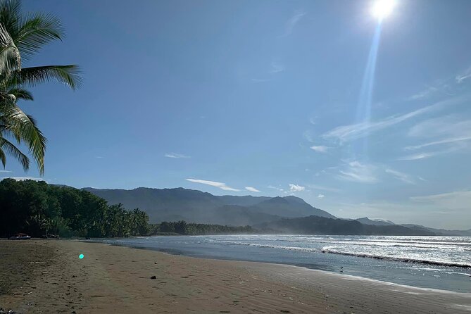 Uncover the Breathtaking Wildlife of Marino Ballena