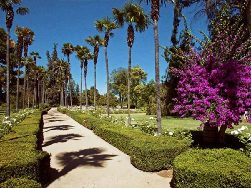 Undurraga: Official Winery Tour - Tour Details