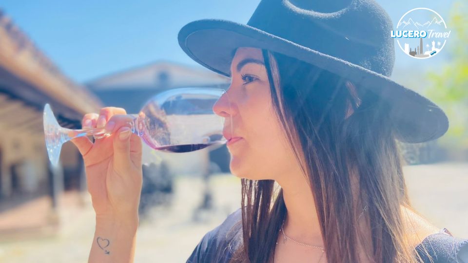 Undurraga Vineyard