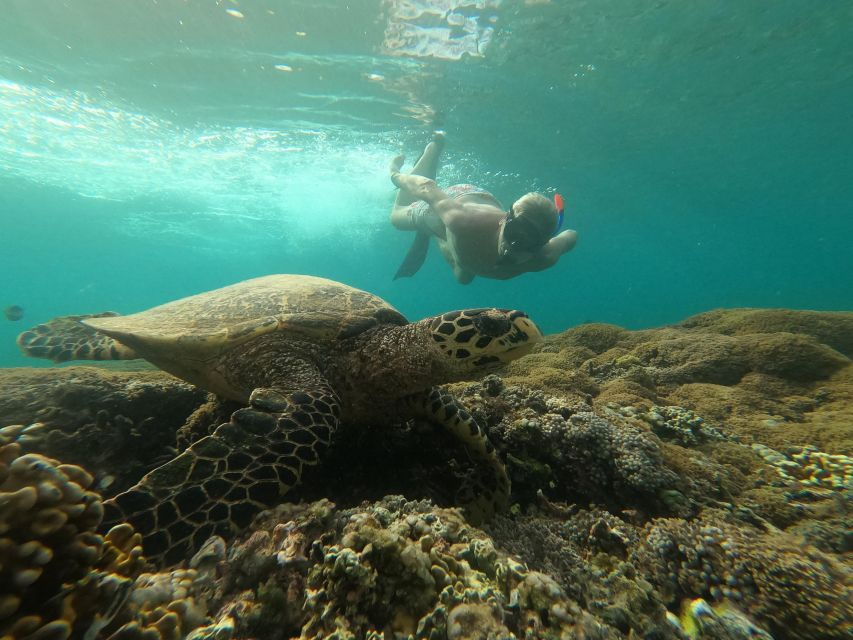 Unforgetable Private Snorkeling Trip