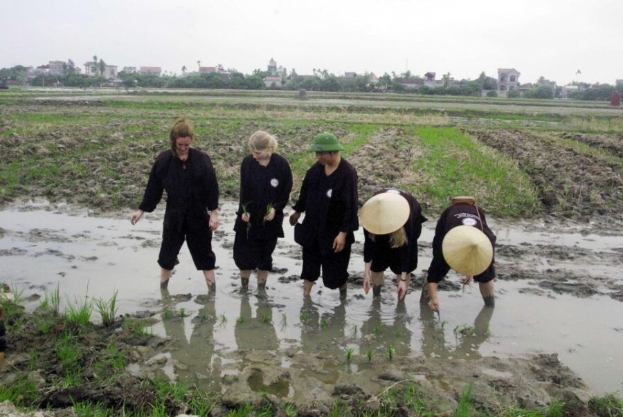 Unique 2 - Day Halong Ninh Binh Farming Tour - Good To Know