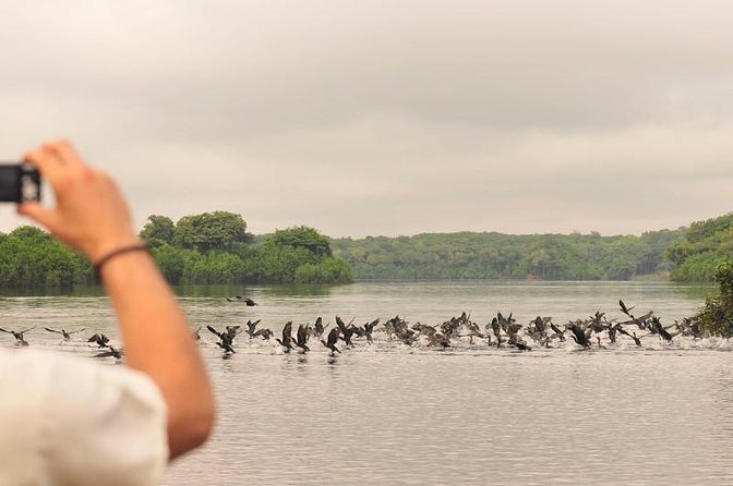 Unleash Your Adventure: Manaus Amazon Jungle Escape