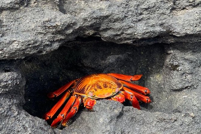 Unveil the Wonders of Galapagos Islands