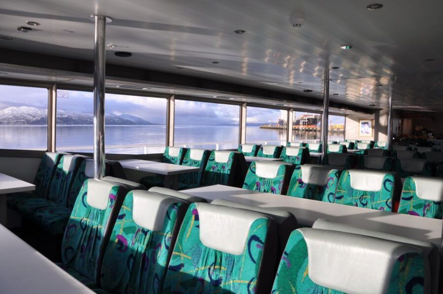 Ushuaia: Penguin Watching Tour by Catamaran - Booking Information
