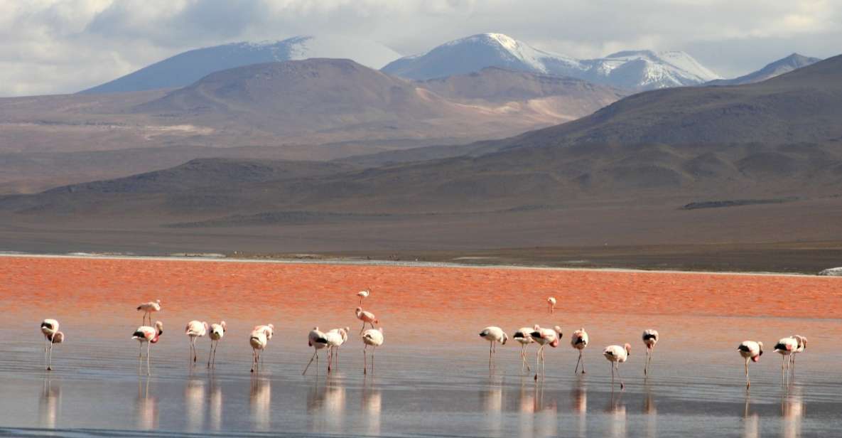 Uyuni: Uyuni Salt Flats and Red Lagoon 3-Day Tour