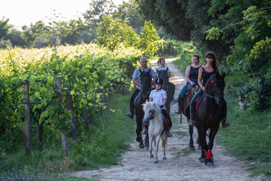 Valdichiana: Horseback Riding Tour With Tuscan Picnic - Good To Know