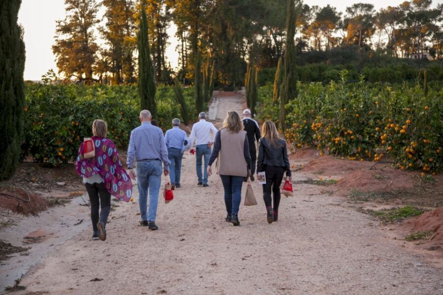 Valencia: Orange Farm and Orchard Trip With Tastings