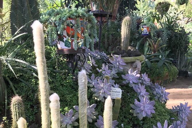 Vallarta Botanical Gardens & Horkenos River Walking Adventure - Cancellation Policy and Refund Options