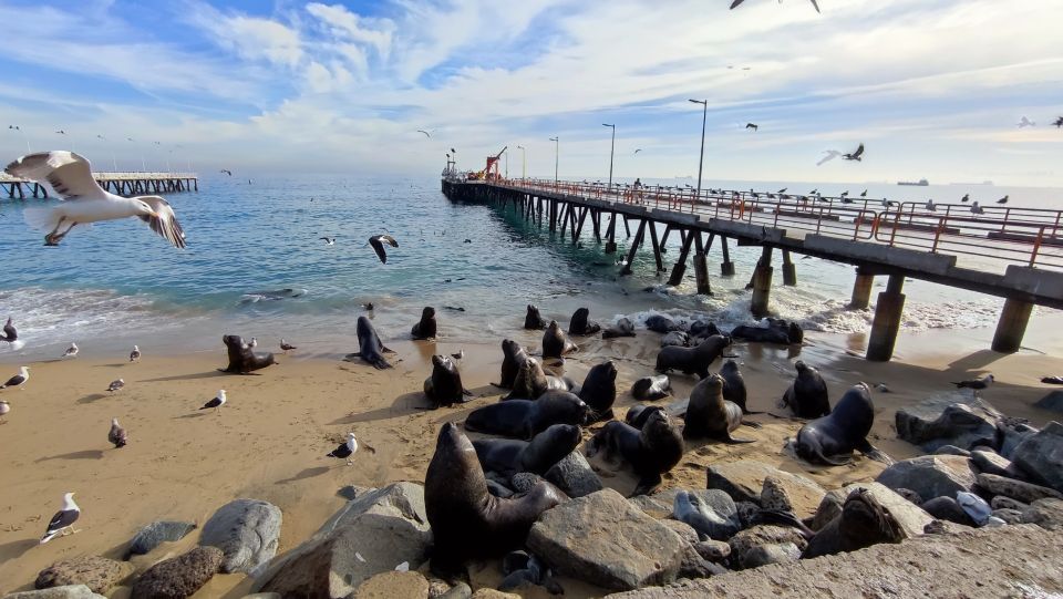 Valparaíso: Full-Day Private Tour With Funicular Ride