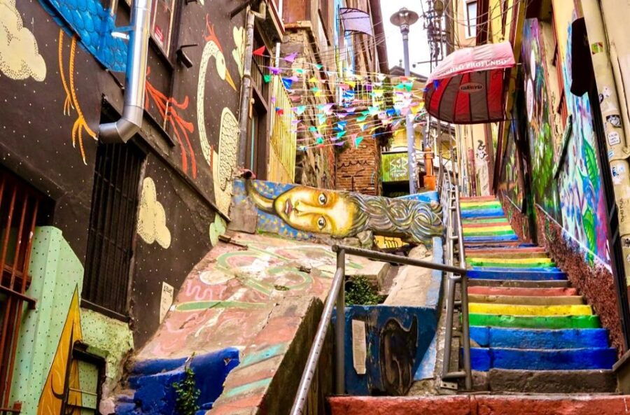Valparaiso, Viña Del Mar, Winery, Sea Lions & Boat Ride - Explore Valparaiso & Viña Del Mar
