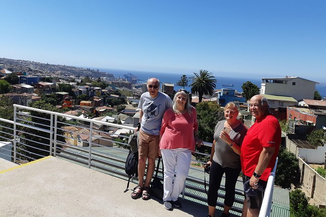Valparaiso Wine Tour: Delve Into Chile's Charm