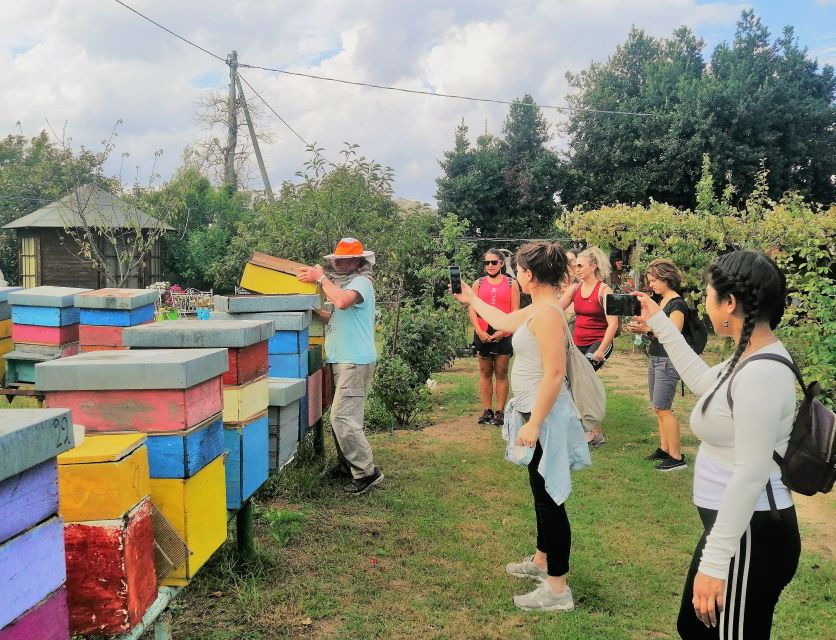 Venice: Bike Tour Honey & Artichockes on Sant'Erasmo Island - Tour Highlights