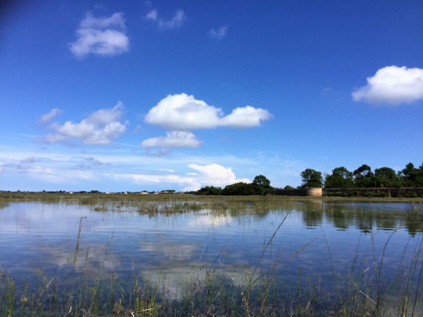 Venice: Sant'Erasmo, Vignole, and Lagoon Kayaking Tour - Activity Details