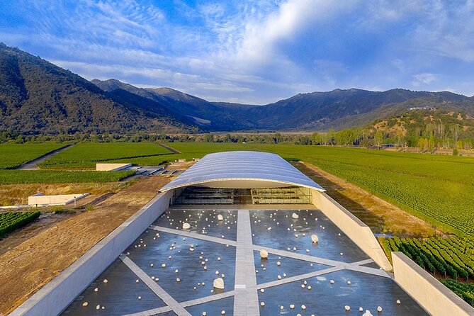 VIK Winery: Unforgettable Wine Experience & Hotel Transfer