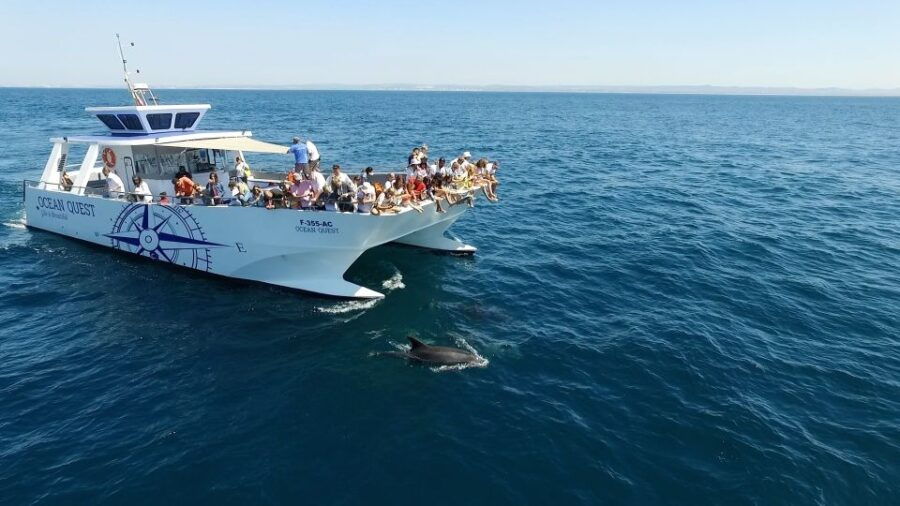 Vilamoura: Boat Tour Dolphin Quest