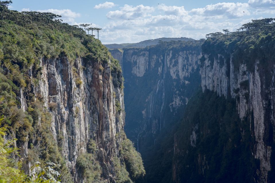 Visit the Canyons in South of Brazil on a 2 Days Tour