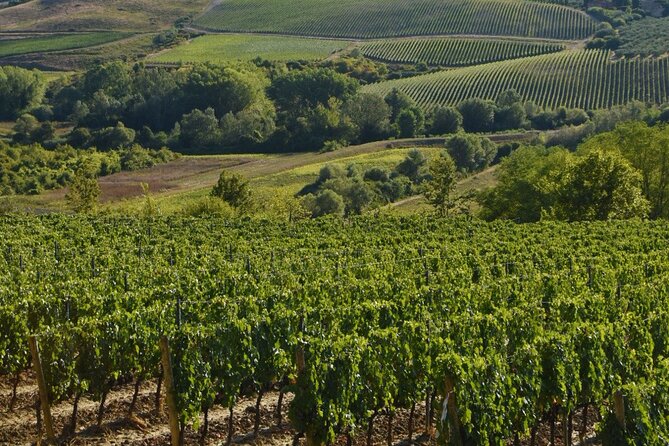 Visit to Badia Di Morrona and Wine Tour With Wine Tasting and Light Lunch - Good To Know