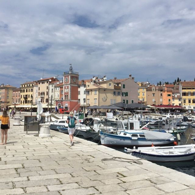Vrsar: Lim Fjord – Rovinj Fish Picnic