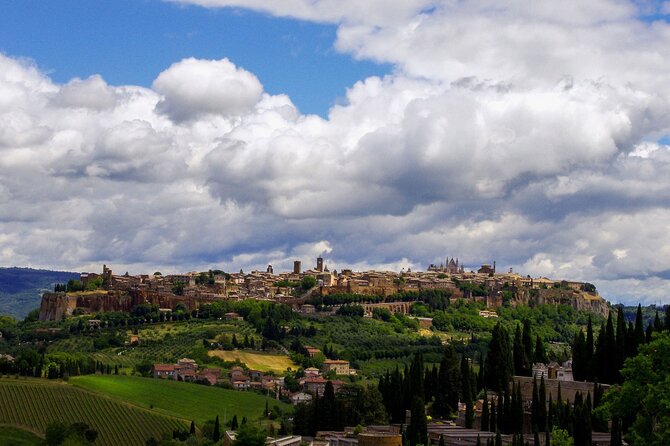 Walking Guided Tour to Visit of Orvieto - Tour Highlights