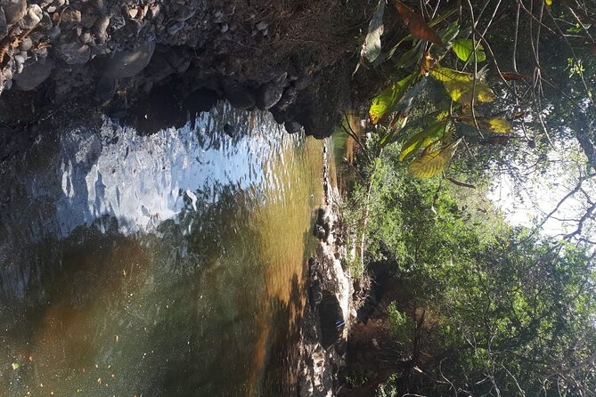 Wellness Farm, Beach & Nature Trail Adventure