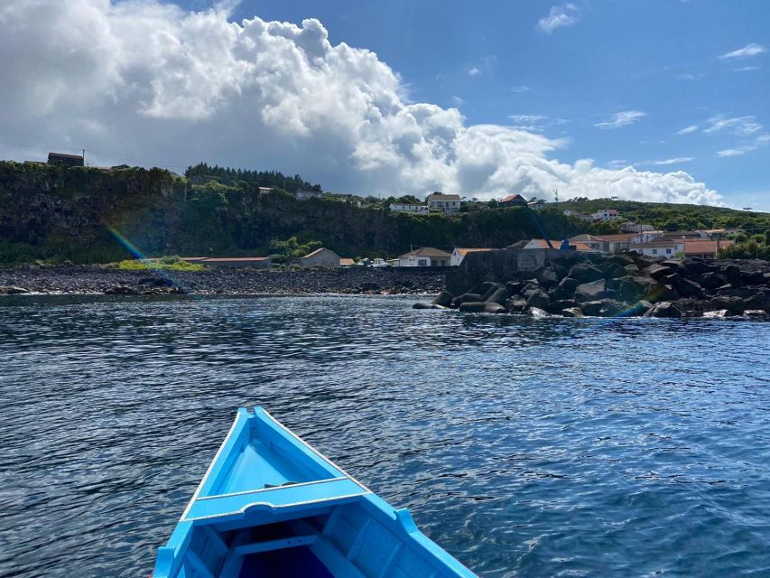 Whale Memory – Unforgetable Ride in the Waters of Pico